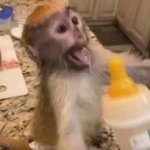 Meet your Posher, Jayden